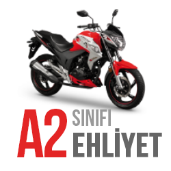 A2 Sınıfı